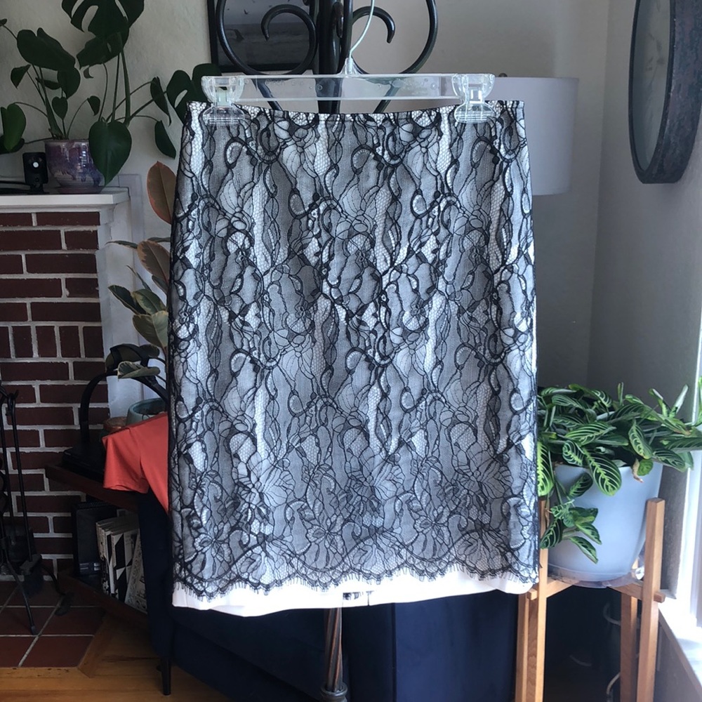 Ann Taylor Lace Skirt